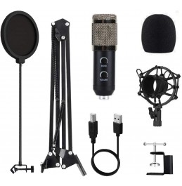 2021 Upgraded USB Condenser Microphone for Computer, Great for Gaming, Podcast, LiveStreaming, YouTube Recording, Karaoke on PC, Plug & Play, with Adjustable Metal Arm Stand, Ideal for Gift, Black 2021 Upgraded USB Condenser Microphone for Computer, Great for Gaming, Podcast, LiveStreaming, YouTube Recording, Karaoke on PC, Plug & Play, with Adjustable Metal Arm Stand, Ideal for Gift, Black