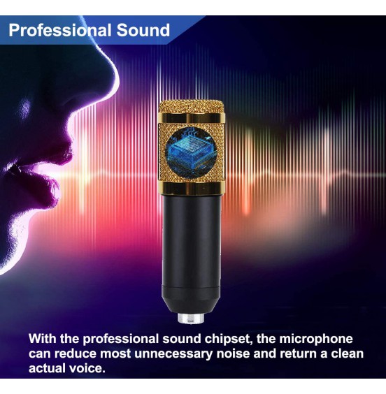 2021 Upgraded USB Condenser Microphone for Computer, Great for Gaming, Podcast, LiveStreaming, YouTube Recording, Karaoke on PC, Plug & Play, with Adjustable Metal Arm Stand, Ideal for Gift, Black 2021 Upgraded USB Condenser Microphone for Computer, Great for Gaming, Podcast, LiveStreaming, YouTube Recording, Karaoke on PC, Plug & Play, with Adjustable Metal Arm Stand, Ideal for Gift, Black